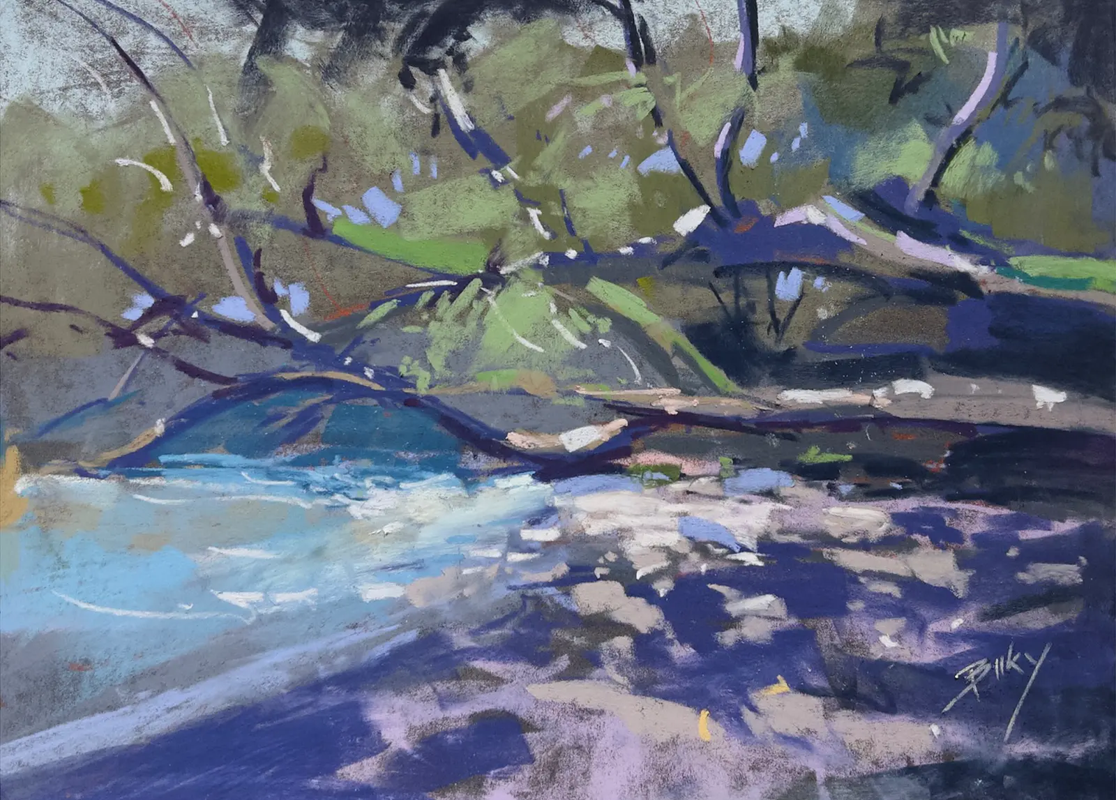 Pickmere Shore
