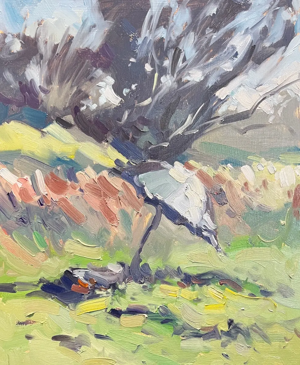 Umbrella