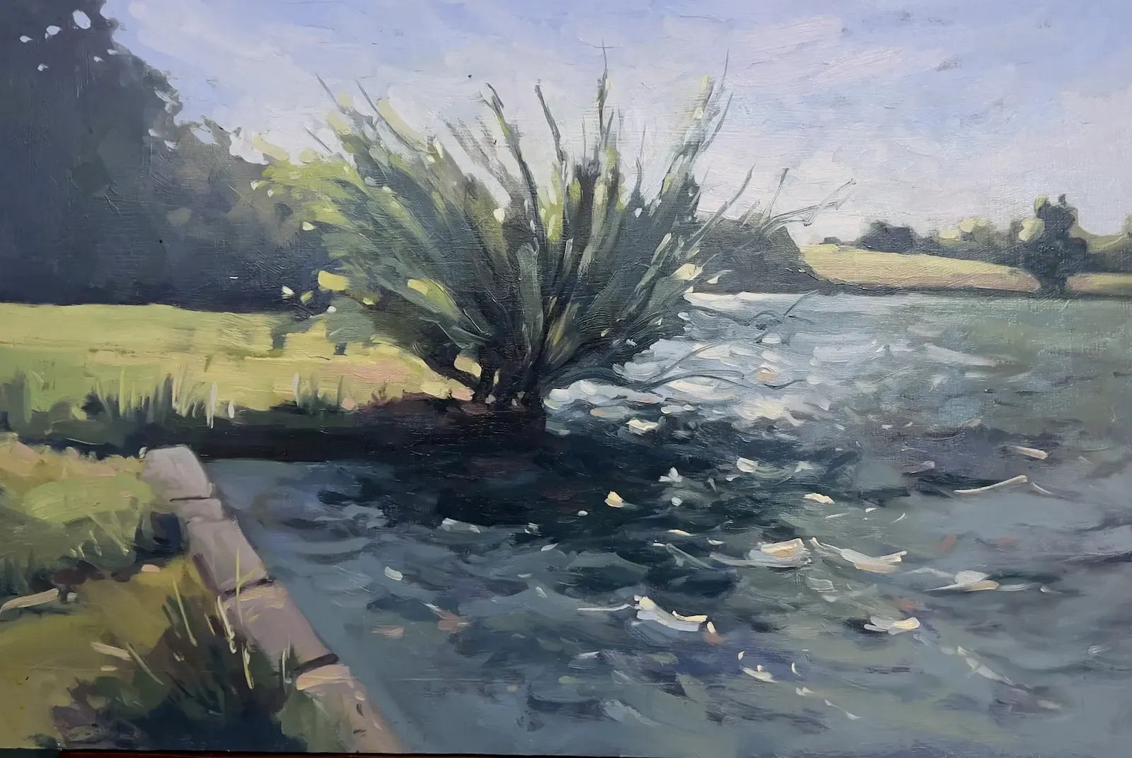 Pickmere Willow, painting by Szabolcs Brezovsky