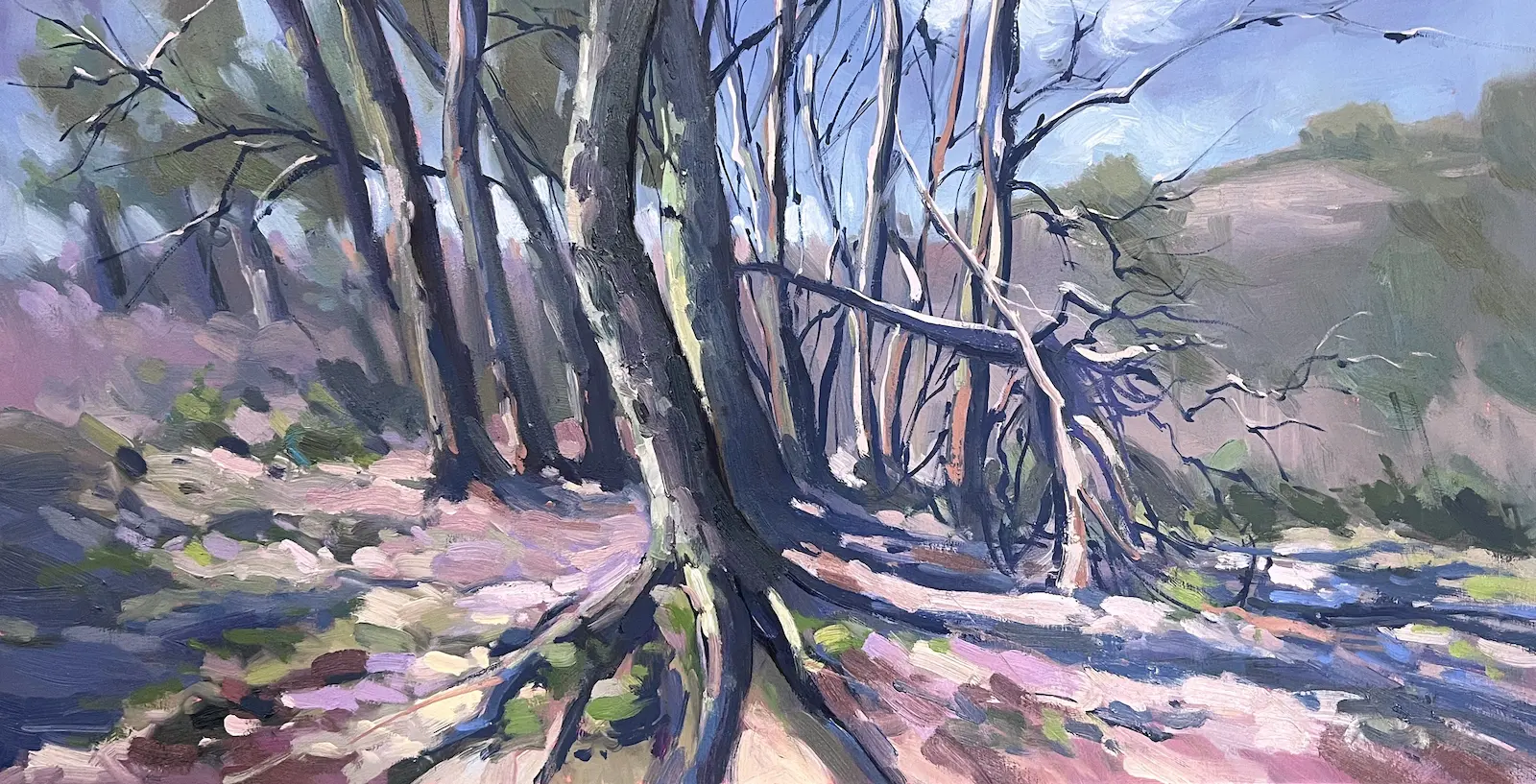 Shifting shadows