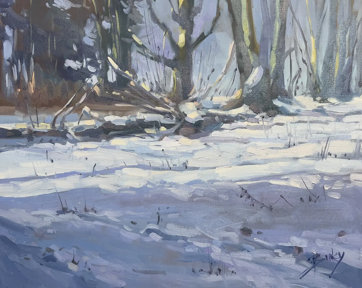 Winter Sunbeams