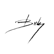 Szabolcs Brezovsky Art Signature Logo